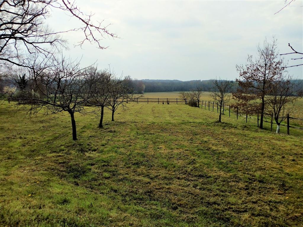 Maison MIRANDE (32300) D'ARTAGNAN IMMOBILIER