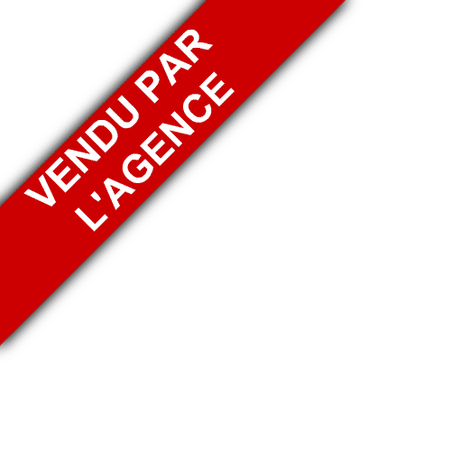 bandeau D'ARTAGNAN IMMOBILIER